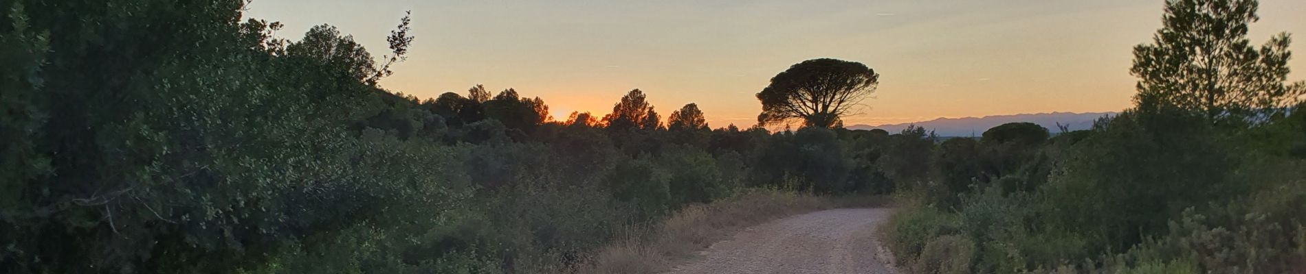 Randonnée Marche Torroella de Montgrí - Ermita de Santa Caterina - Photo