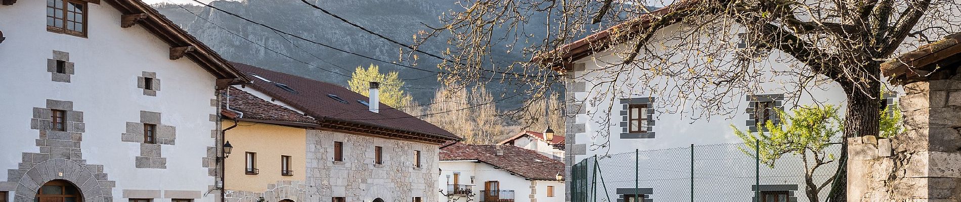 Tocht Te voet Irañeta - Irañetako haritzen ibilbidea - Photo