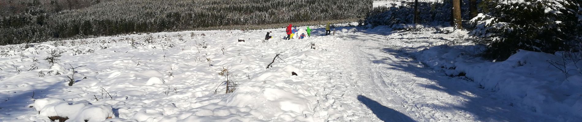 Randonnée Marche Libramont-Chevigny - Bonance en hiver - Photo