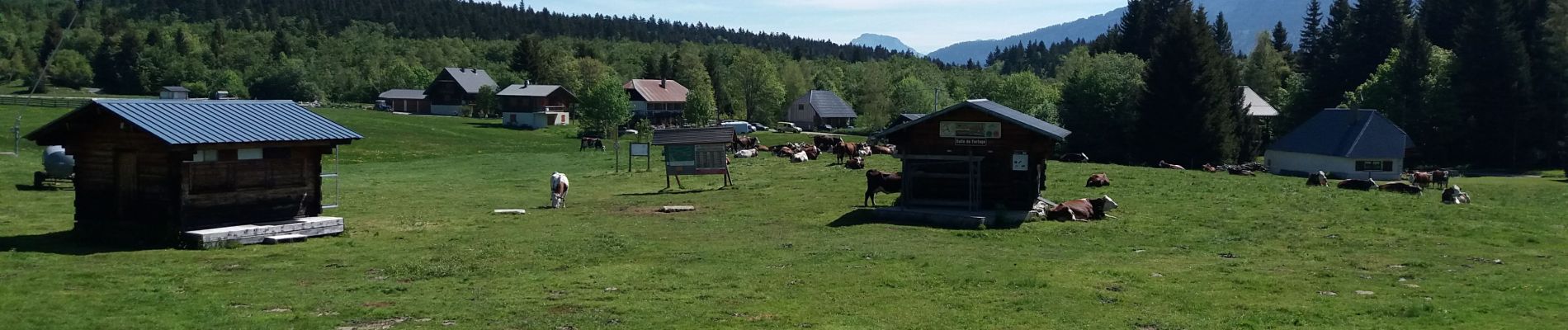 Excursión Senderismo Montcel - BAUGES: LE REVARD - LA FECLAZ - Photo