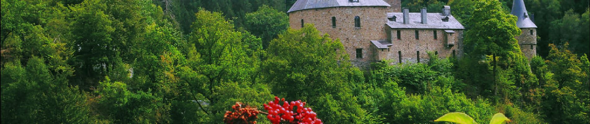 Point d'intérêt Waimes - Château de Reinhardstein - Photo