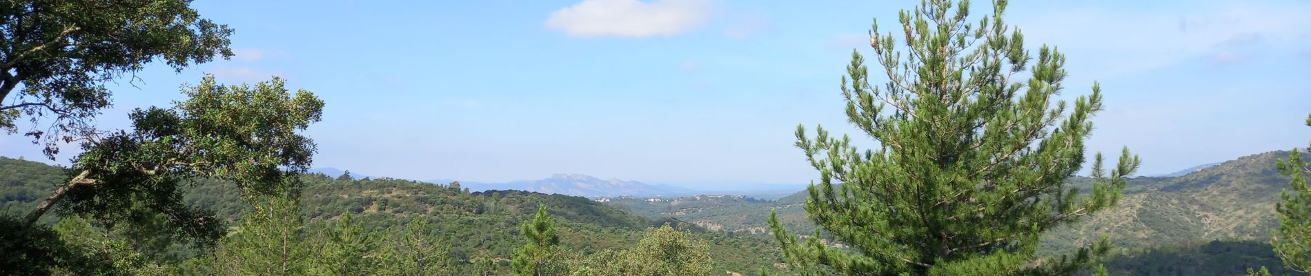 Tour Wandern Fréjus - Fréjus Auriasque, Esterel - Photo