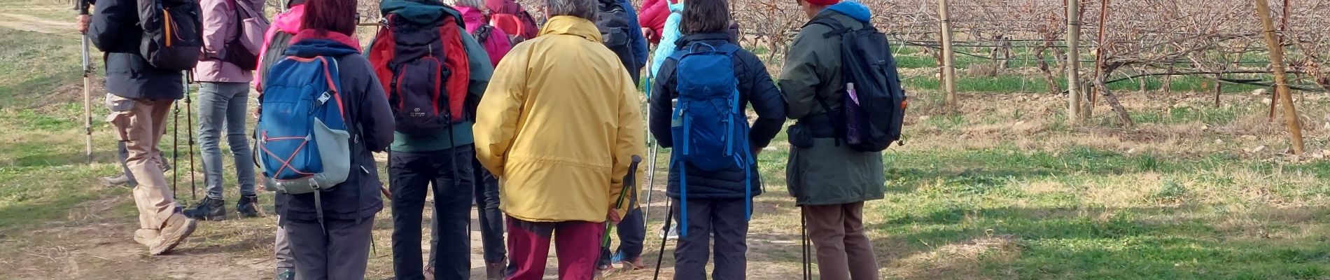 Percorso Marcia Cessenon-sur-Orb - Reals et les gravieres de Savignac - Photo