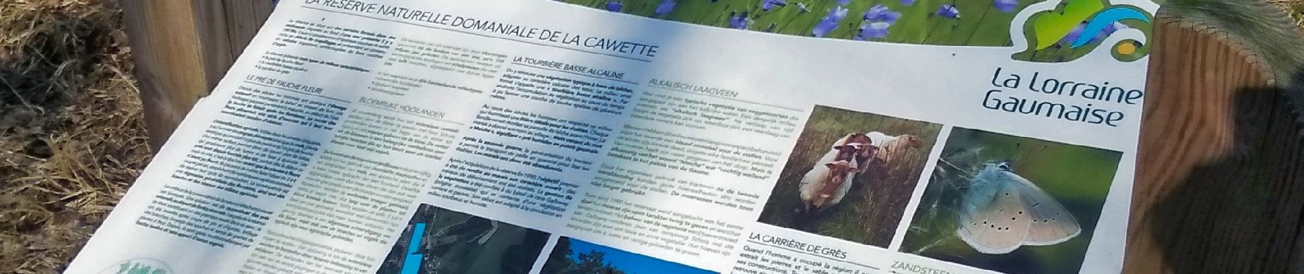 Punto di interesse Meix-devant-Virton - Réserve naturelle de La Cawette - Photo