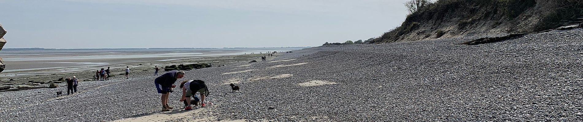 Randonnée A pied Cayeux-sur-Mer - Le Hourdel - Photo