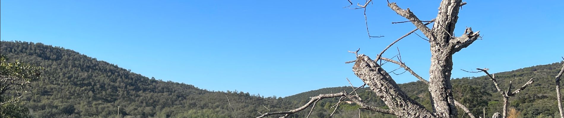 Excursión  Bormes-les-Mimosas - Barrage du trépan la louve - Photo