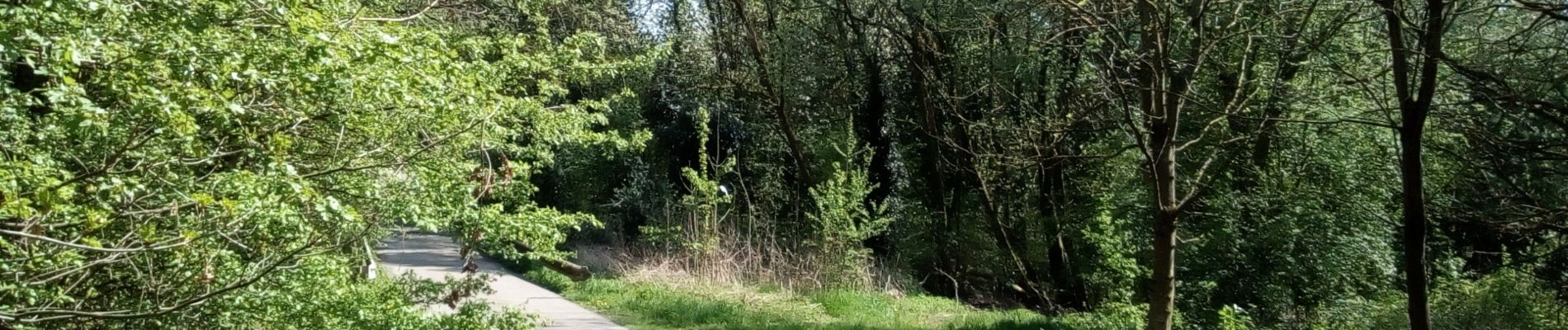 Tocht Stappen Blegny - Promenade du vendredi - Photo