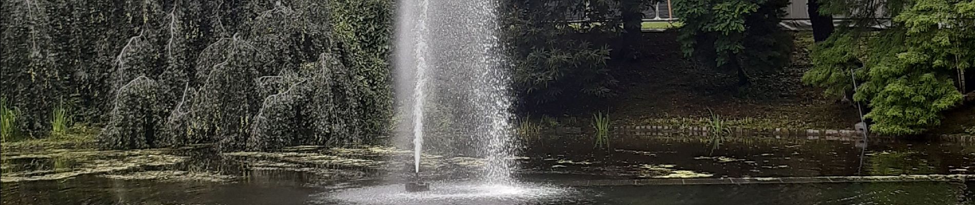 Tocht Stappen Luik - liege etat des eaux inondations 14 15 16 juillet 21 - Photo