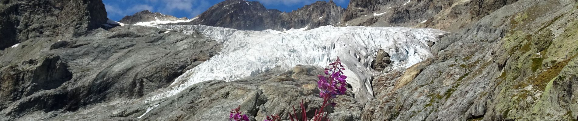 Tour Wandern Vallouise-Pelvoux - 2020-09-07 Marche Ailefroide Glaciers Blanc et Noir - Photo