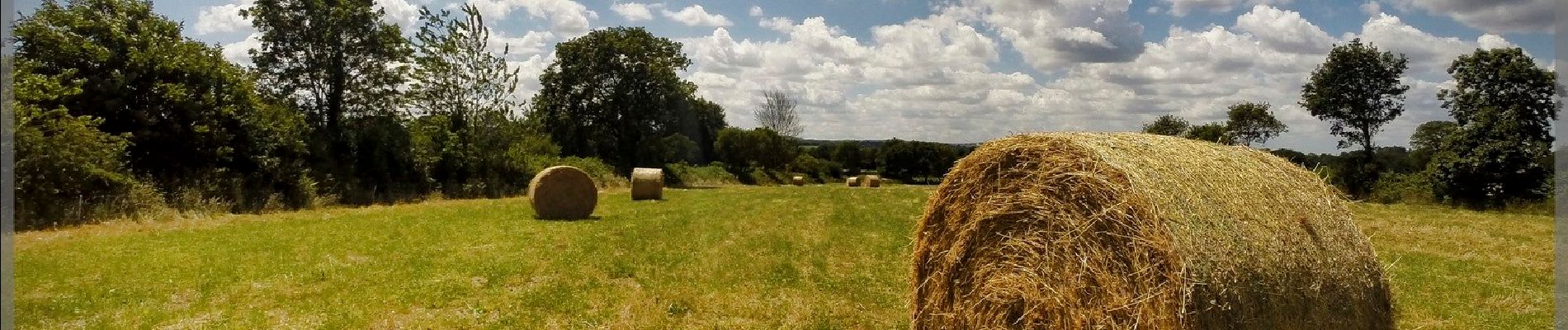 Randonnée A pied Spézet - Le_Bocage_Kerniou-Kerguen - Photo