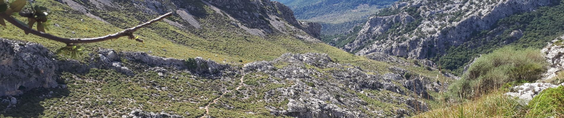 Tour Wandern Escorca - MAJORQUE - Tossals Verds (SOLLER) - Photo