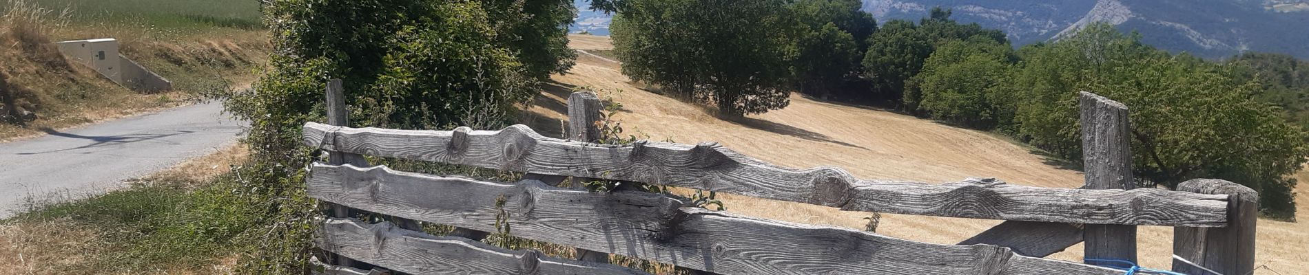 Tour Wandern Le Sauze-du-Lac - les Demooselles coiffées (vues du dessus)  - Photo