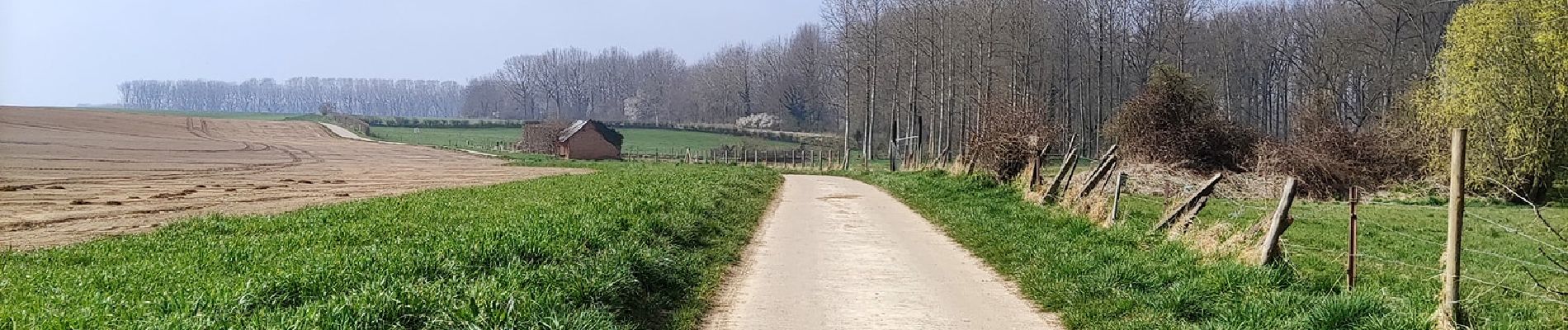 Randonnée Marche Tongres - Promenade de la beauté cachée à Lauw  - Photo