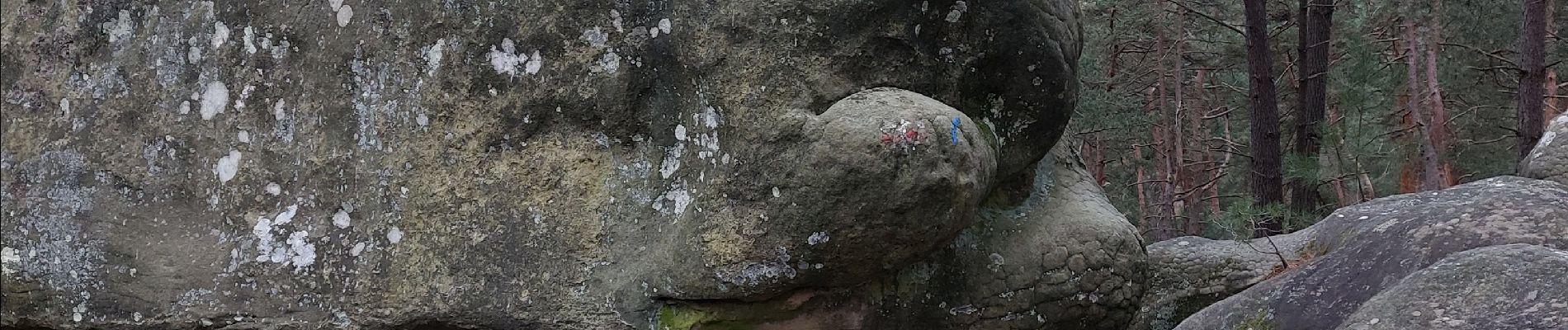 Point of interest Fontainebleau - Unnamed POI - Photo