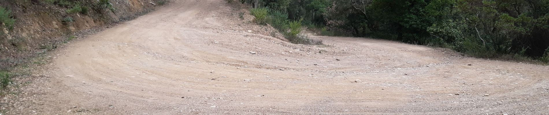 Randonnée Marche Pierrefeu-du-Var - la portaniere - Photo