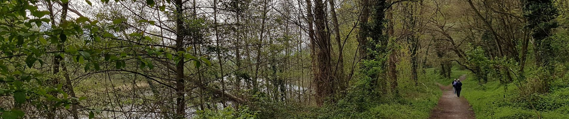 Randonnée Marche nordique Seyssins - Les Berges du Drac en RG au sud de Seyssins - Photo