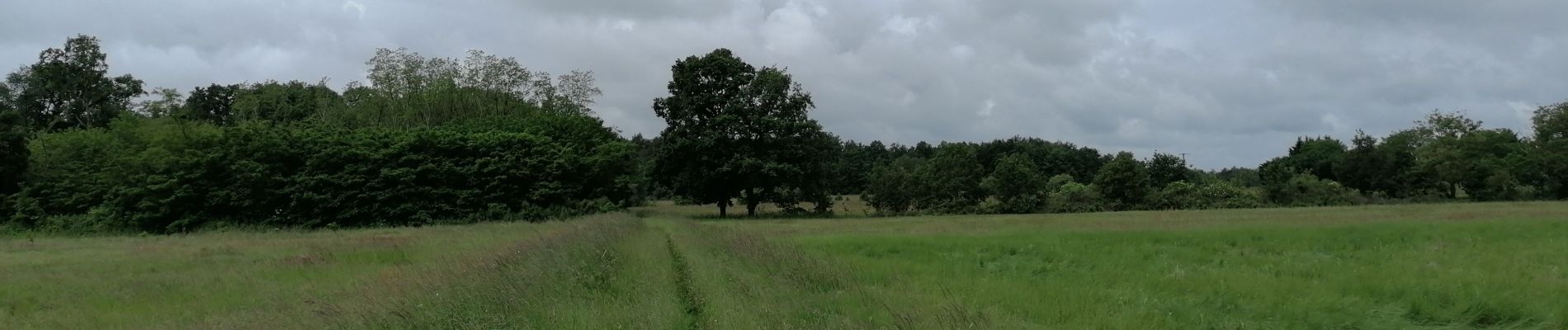 Tour Wandern Cellettes - Cellettes 2024-05-30 - Photo