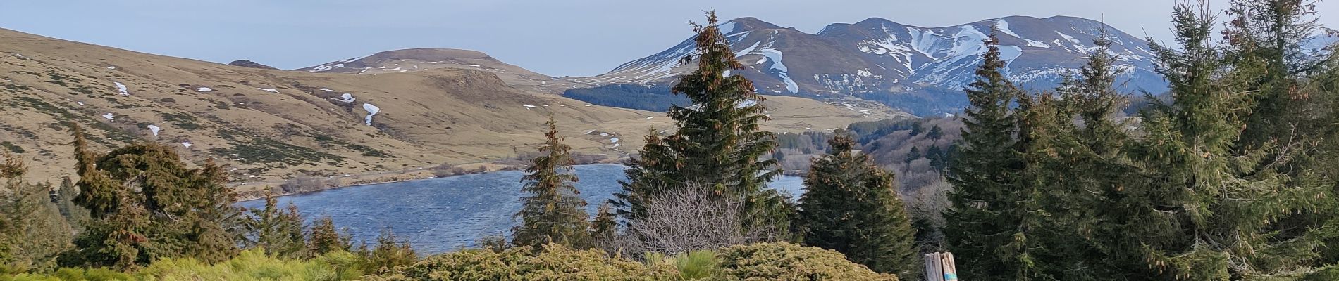 Tour Wandern Orcival - CHAÎNE DES PUYS Guery / Roche Sanadoire et Tuilière - Photo