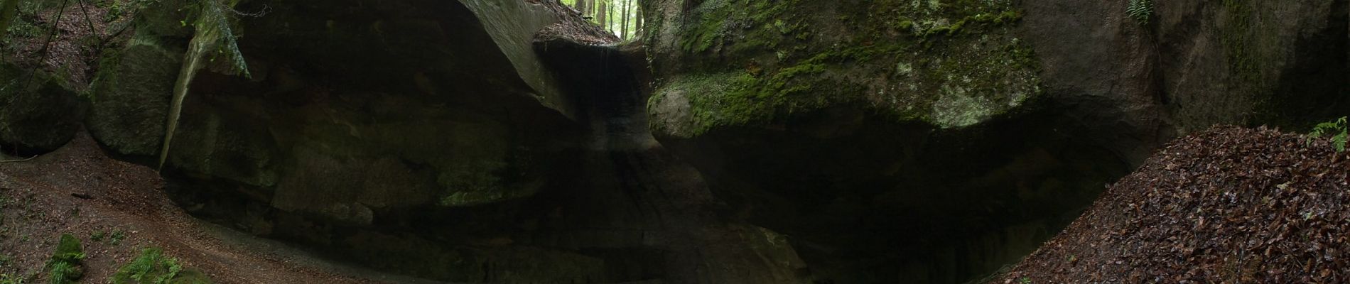 Percorso A piedi Kaisersbach - Ebnisee-Schmalenberg-Wieslauftal - Photo