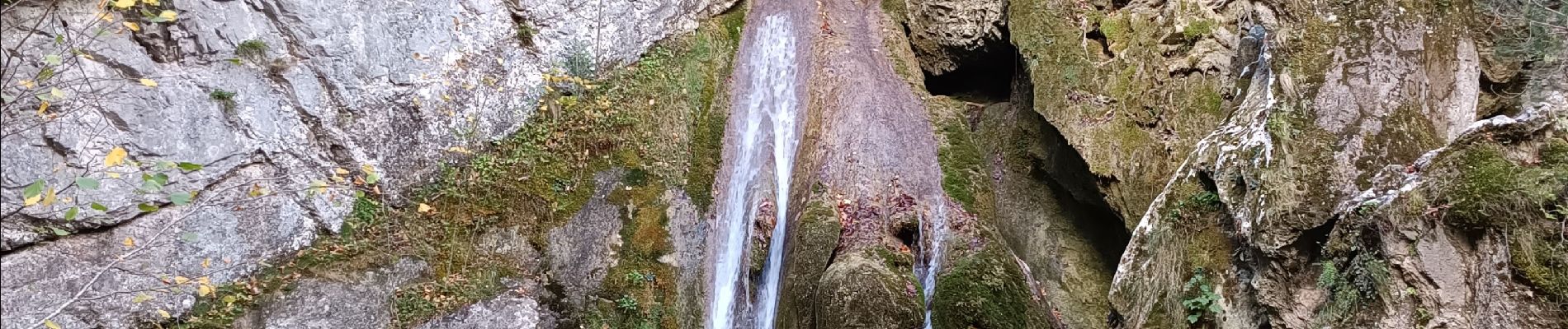 Excursión Senderismo Isaba - cascada de belabarce - Photo