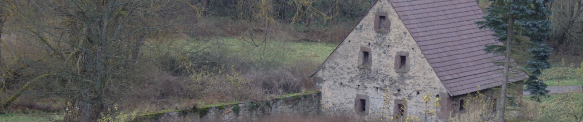 Tour Zu Fuß Lauterbach - Bachtour Lauterbach - Photo