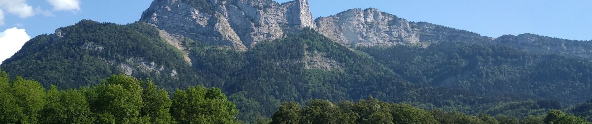 Tour Wandern Montaud - BOUCLE MONTAUD DE T DE MOIRANS - Photo