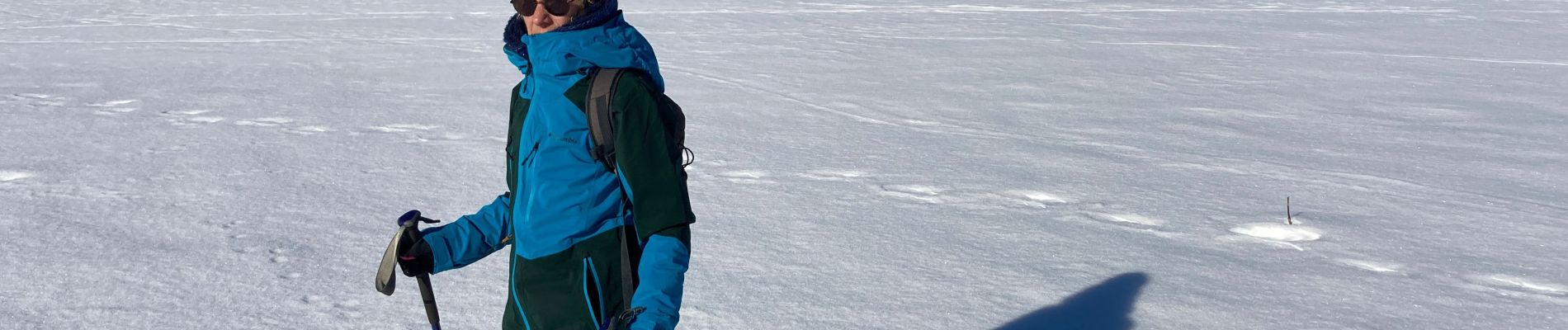 Trail Snowshoes Saint-Chély-d'Aubrac - Tourbière alte teste rodes  - Photo