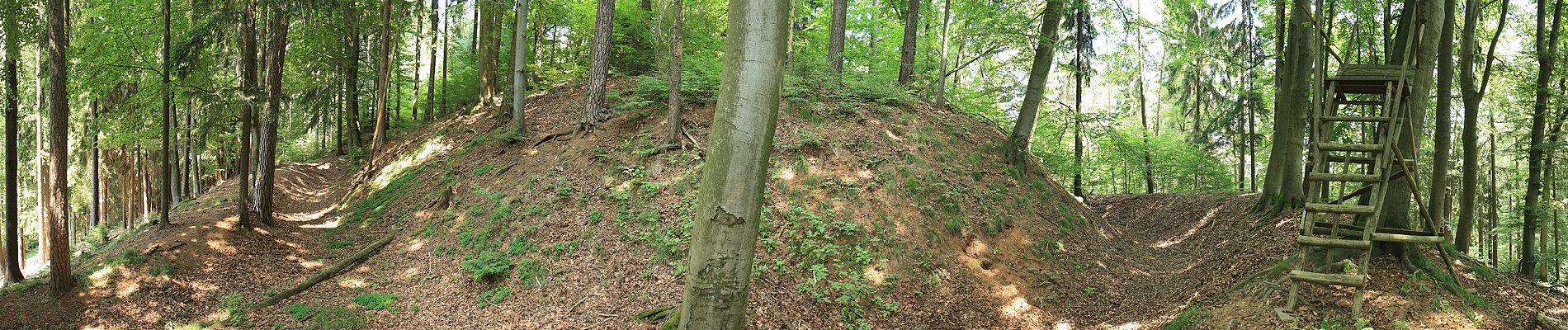 Percorso A piedi Simmelsdorf - Simmelsdorfer Rundwanderweg Gelb 8 - Photo