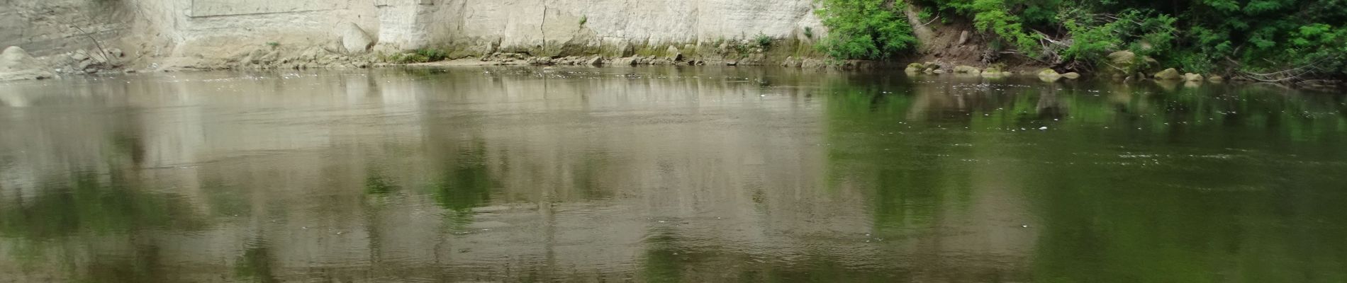 Tocht Stappen Mur-sur-Allier - Mezel Étang des plançons - Photo