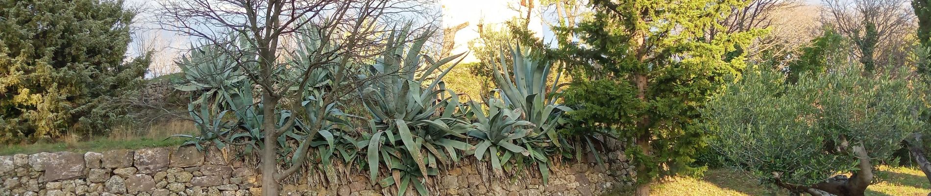 Tour Wandern Flayosc - flayosc font roux - Photo