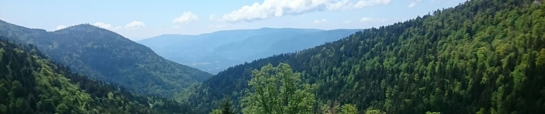 Tour Wandern Arvière-en-Valromey - Chalet d'Arvières - Photo