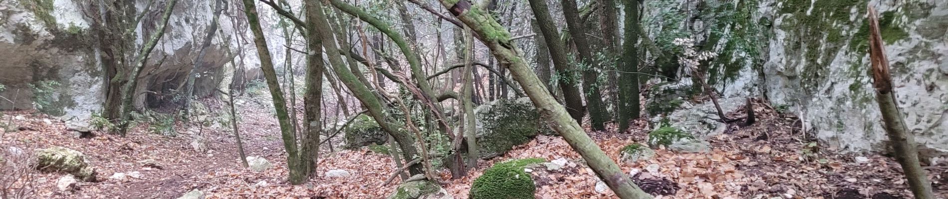 Tocht Stappen Signes - les Armaris par Danjean - Photo