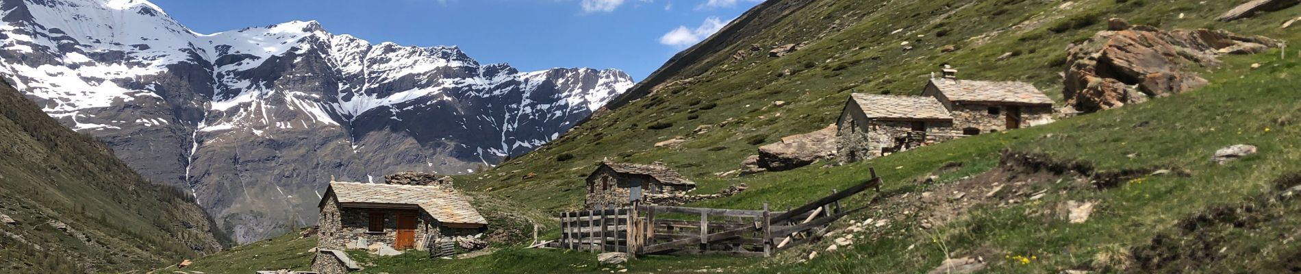 Trail Walking Bessans - Vallée du Ribon à Bessans - Photo