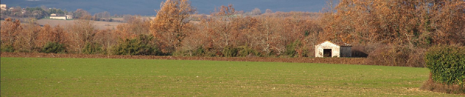 Tocht Stappen Villeneuve-sur-Vère - Boucle Villeneuve-sur-Vere/Roumanou - Photo