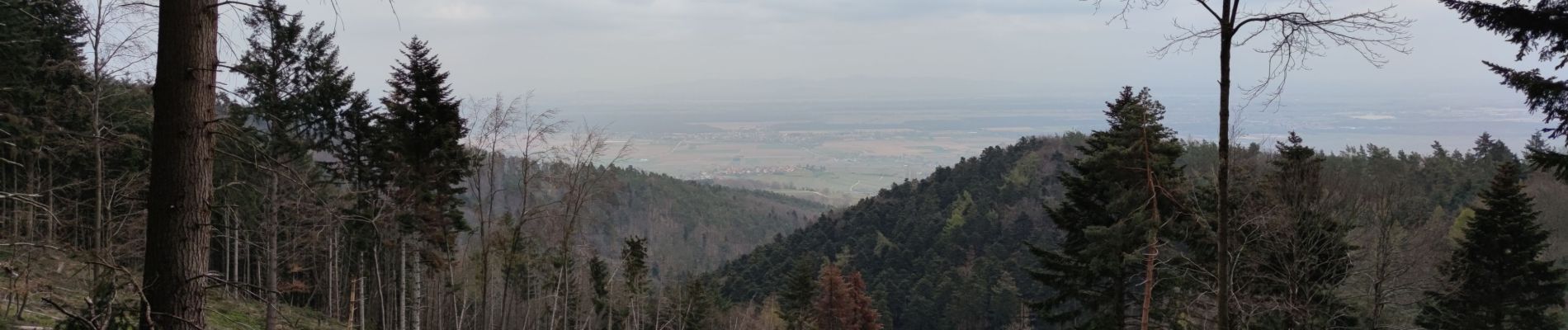 Randonnée V.T.T. Fréland - Fréland - Hunawihr - Photo