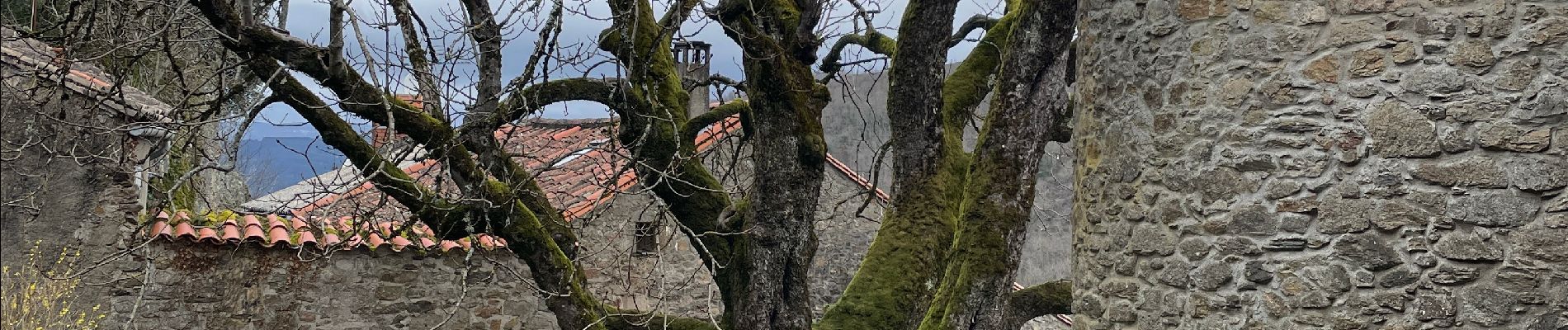 Randonnée Marche Mazamet - Maeamet la passerelle - Photo