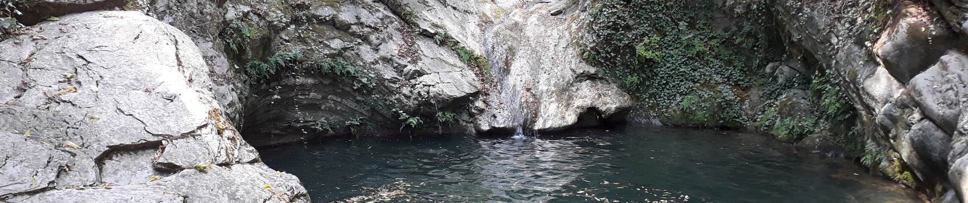 Tocht Stappen Dolcedo - Laghetti di Lecchiore - Photo