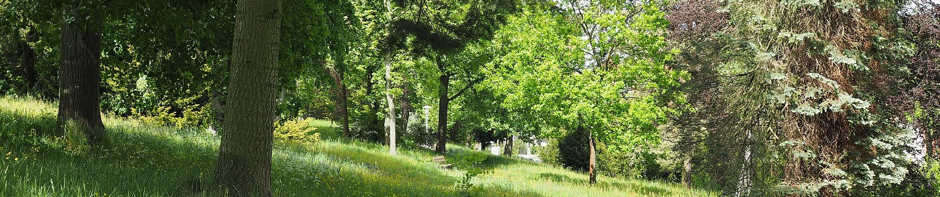 Excursión A pie Harz (LK Goslar) - HK 1: Seesen, Bahnhof - Hahnenklee - Goslar - Seesen - Photo