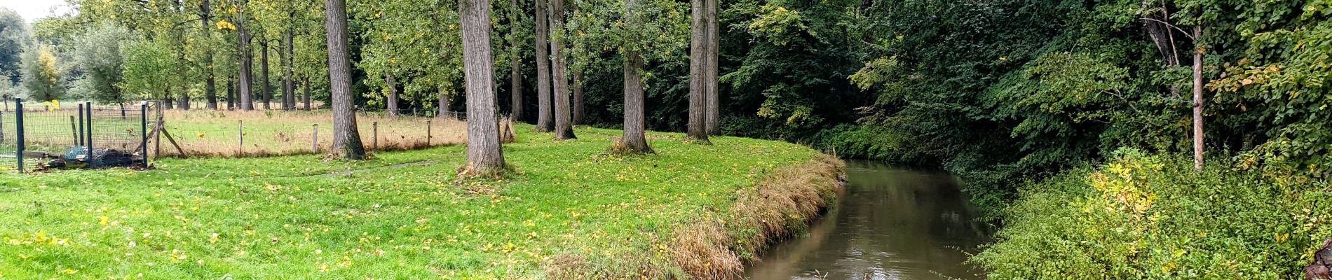 Percorso Marcia Ottignies-Louvain-la-Neuve - Lauzelle - Ottignies - Bois des Rêves - Photo