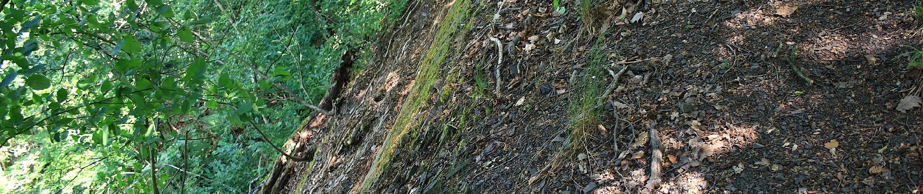 Tocht Te voet Iserlohn - Letmathe Rundweg 1 - Photo