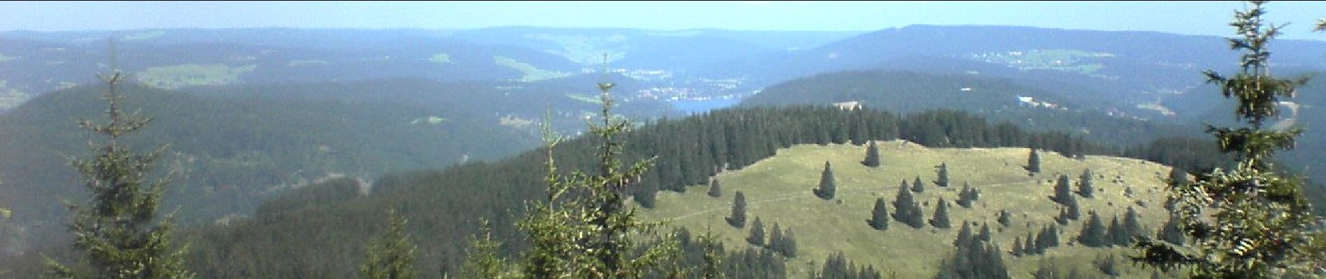 Tocht Te voet Feldberg - Feldberg (Caritasheim) - Kohlplatz - Bärental - Photo