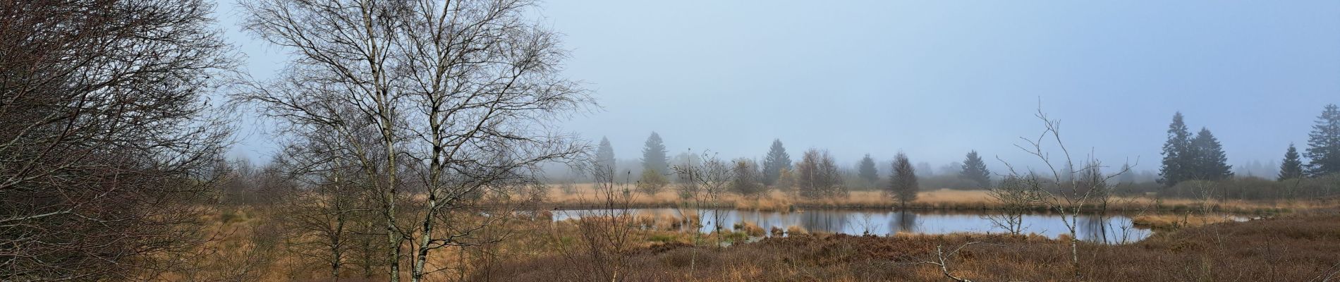 Randonnée Marche Waimes - Fagne Brackven - Photo