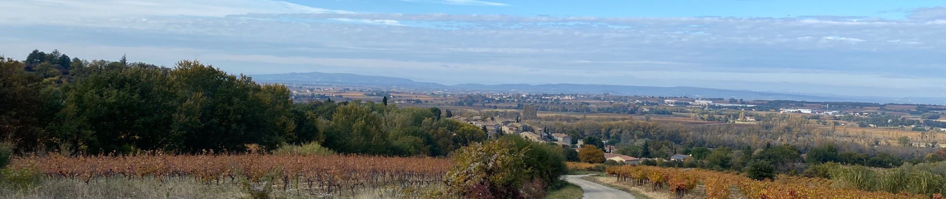 Percorso Mountainbike La Baume-de-Transit - Gravel - La Baume / Gigondas - Photo