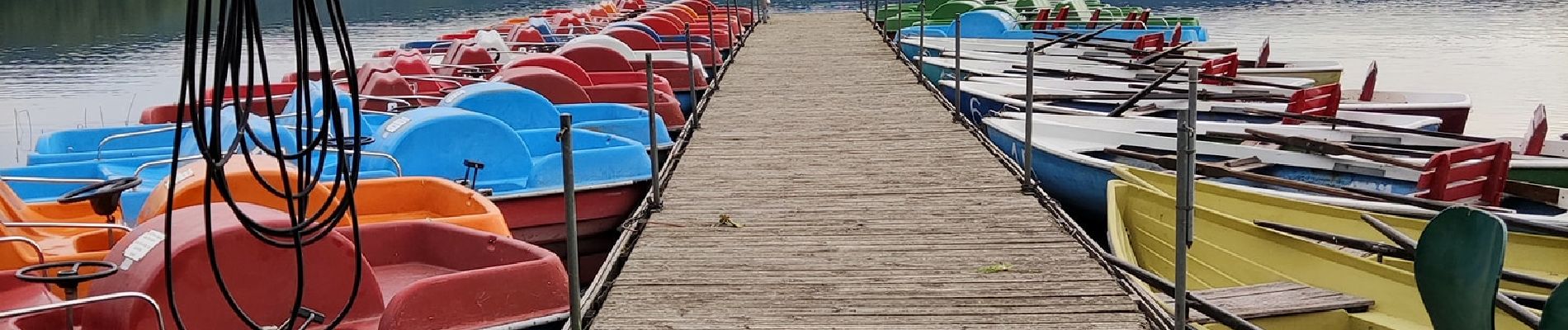 Randonnée Marche Nickenich - Promenade autour du Laacher See - Photo