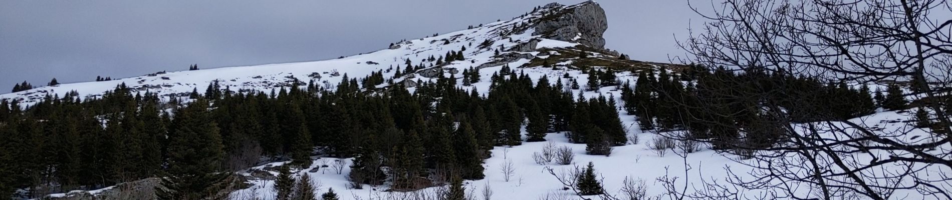 Tocht Sneeuwschoenen Lans-en-Vercors - Pic St Michel via Christophe - Photo