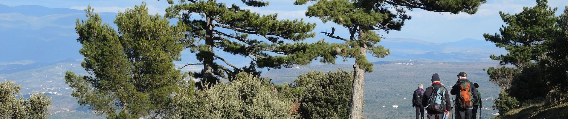 Percorso Marcia Bonnieux - PF-Bonnieux - De la Sanguinette à la Roque des Bancs - Photo