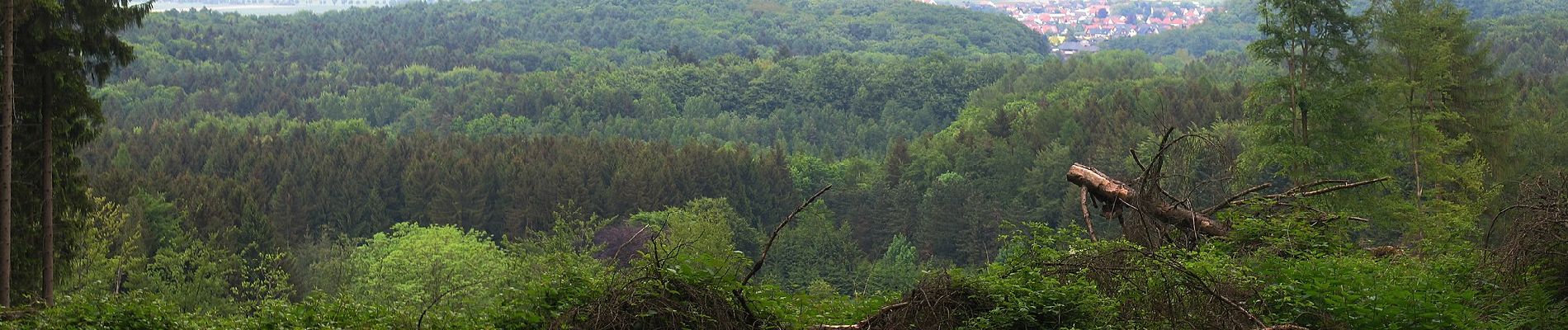 Excursión A pie Preußisch Oldendorf - A9 Preußisch Oldendorf-Eininghausen - Photo