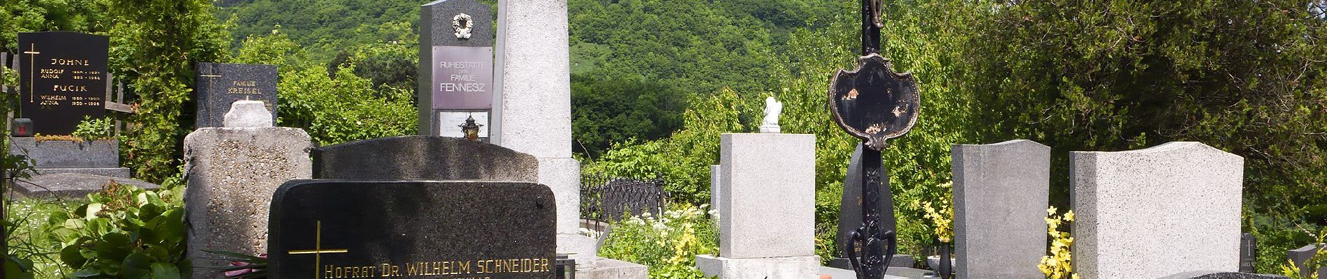 Tour Zu Fuß Unbekannt - Kahlenbergerdorfer Weinrundwanderweg - Photo