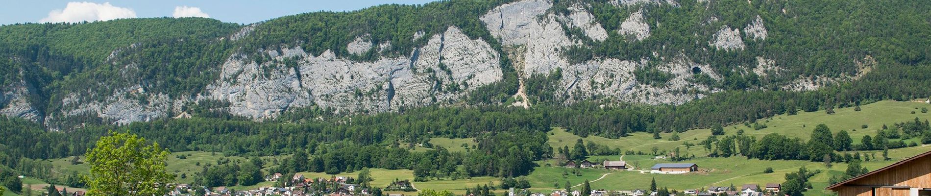 Tour Zu Fuß Balm bei Günsberg - Balmberg Passhöhe - Welschenrohr - Photo