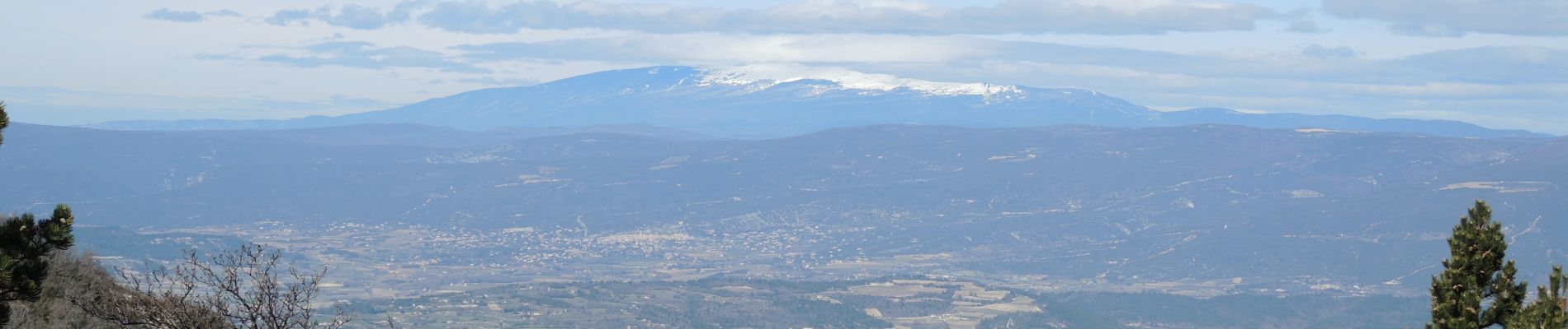 Trail Walking Cucuron - 2017 03 08-Le Mourre Nègre par Cucuron - Reco - Photo